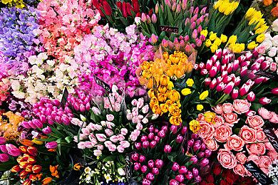 黑白手绘风《TOEM》今日发售 首发特惠促销