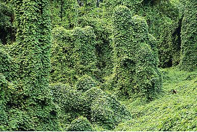 Bungie：《命运2》和正在开发的新作不会变成PS独占